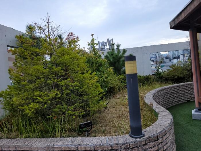 법원경매 2024타경63702 사진4 | 부산 부산진구 양정동 255-1 근린시설 경매