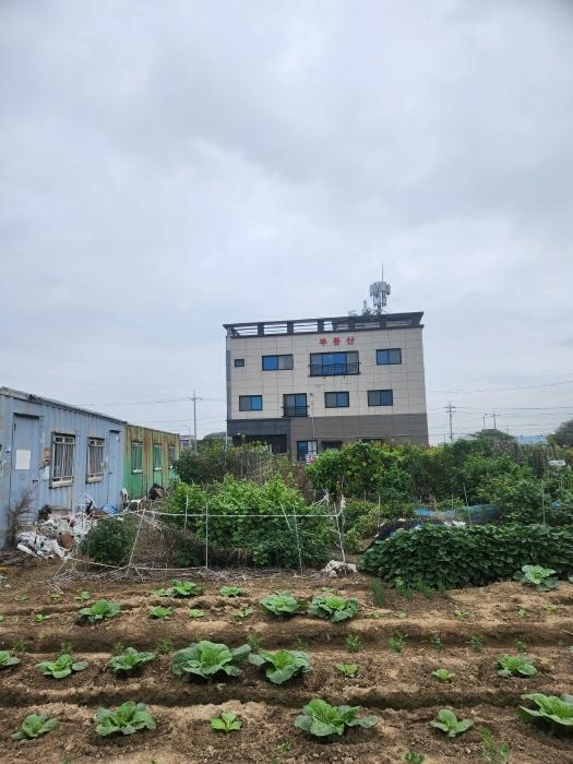 법원경매 2024타경4071 사진4 | 부산 강서구 명지동 3463-13 대지 경매
