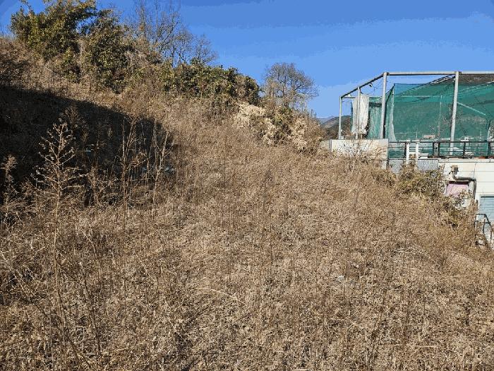 2025타경601 법원경매 사진2 | 대구 동구 대지 경매