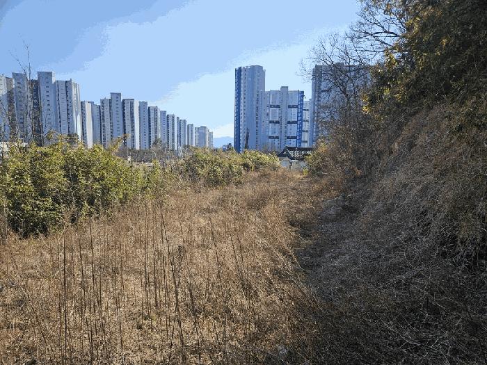 2025타경601 법원경매 사진3 | 대구 동구 대지 경매