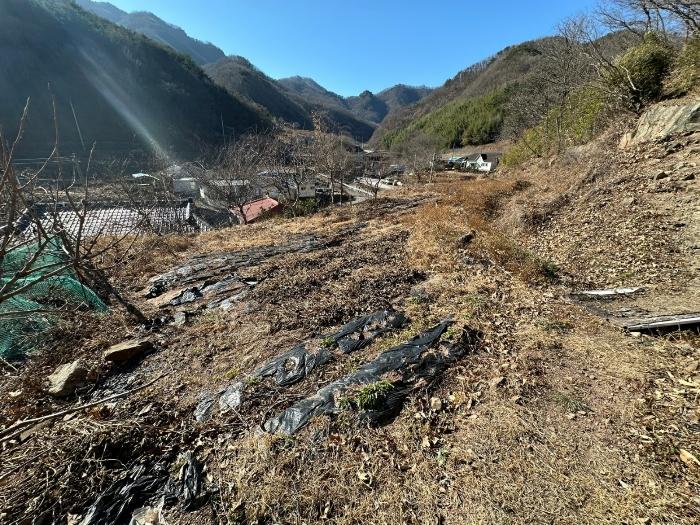 경북 영덕군 남정면 사암리 315 대지 사진 4