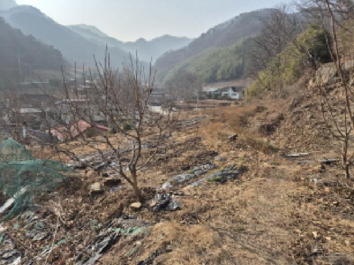 법원경매 2025타경42 사진7 | 영덕군 남정면 사암리 319-3 대지 경매