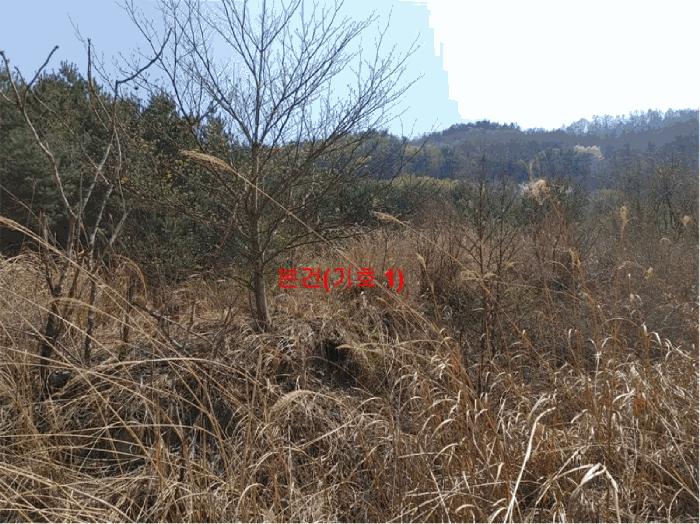 경상남도 함양군 휴천면 태관리 796 법원경매 물건 대표사진