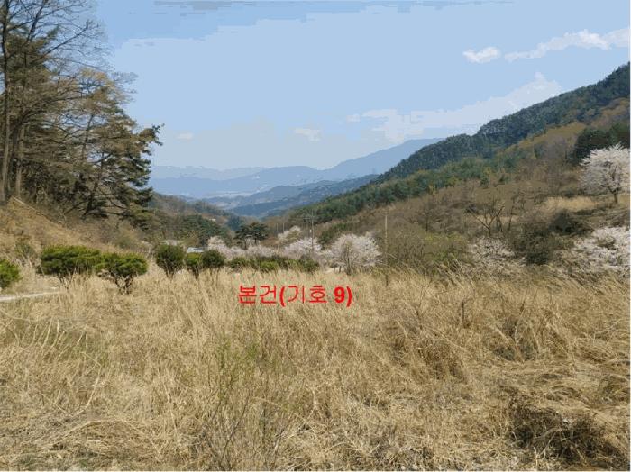 2024타경1031 법원경매 사진16 | 경남 함양군 창고 경매