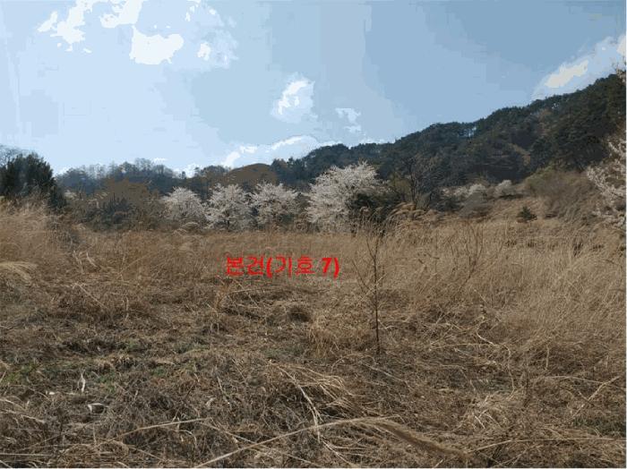 2024타경1031 법원경매 사진27 | 경남 함양군 창고 경매