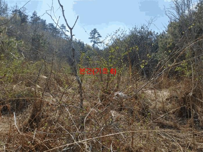 2024타경1031 법원경매 사진3 | 경남 함양군 창고 경매
