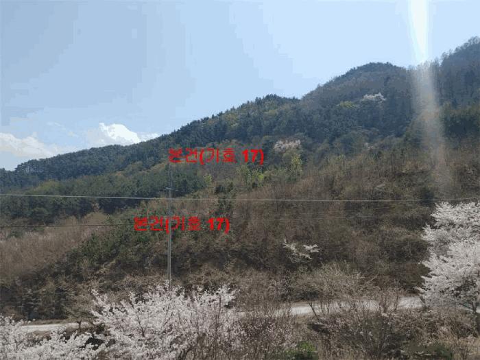 2024타경1031 법원경매 사진30 | 경남 함양군 창고 경매