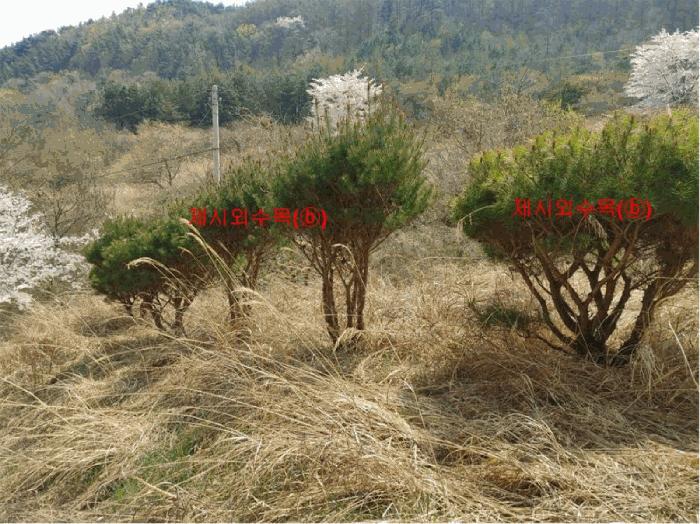 2024타경1031 법원경매 사진36 | 경남 함양군 창고 경매