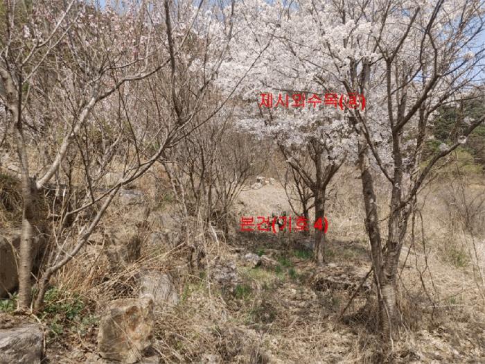 2024타경1031 법원경매 사진37 | 경남 함양군 창고 경매