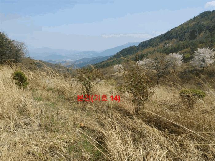 2024타경1031 법원경매 사진41 | 경남 함양군 창고 경매