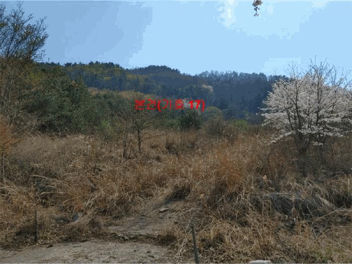 2024타경1031 법원경매 사진42 | 경남 함양군 창고 경매
