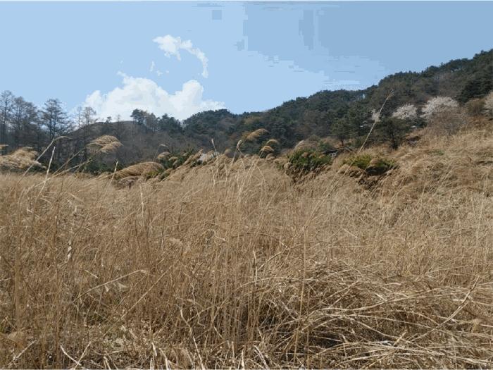 2024타경1031 법원경매 사진5 | 경남 함양군 창고 경매