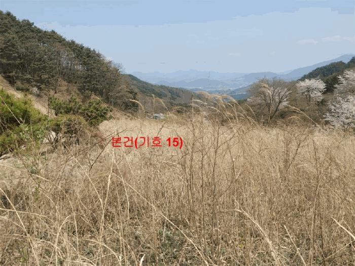2024타경1031 법원경매 사진6 | 경남 함양군 창고 경매