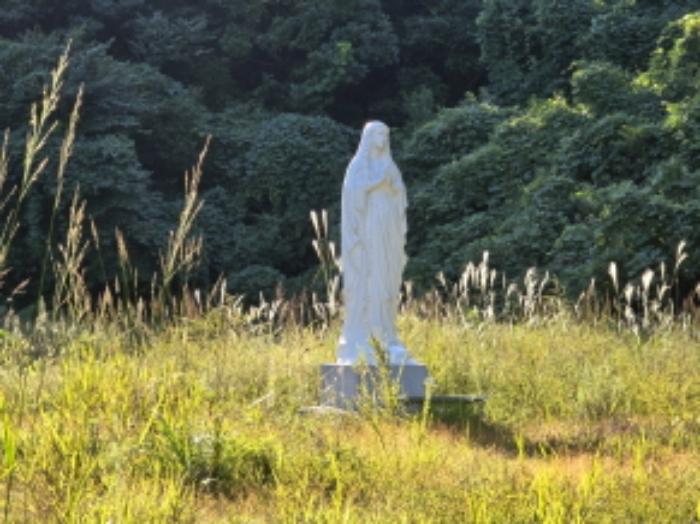 2024타경1031 법원경매 사진61 | 경남 함양군 창고 경매