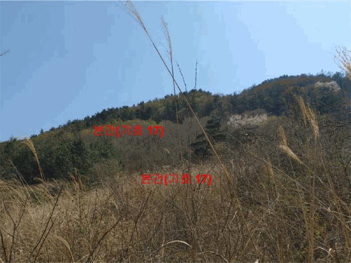 2024타경1031 법원경매 사진7 | 경남 함양군 창고 경매