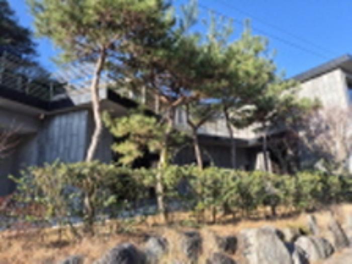 법원경매 2024타경8995 사진10 | 광주 북구 망월동 244 주택건물 경매