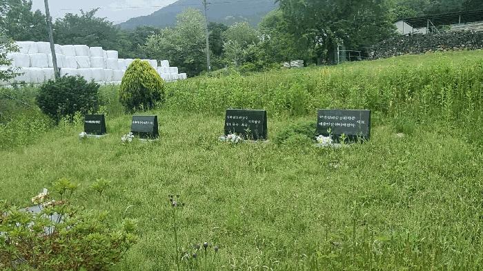 2025타경479 법원경매 사진3 | 경남 거창군 답 경매
