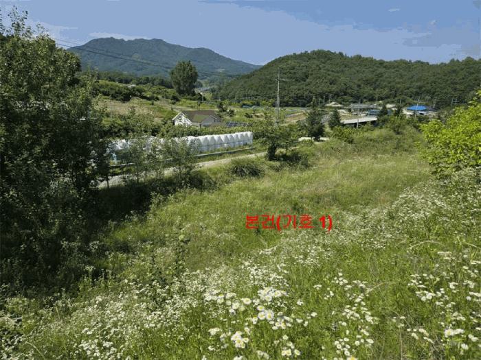 경상남도 함양군 유림면 서주리 713 법원경매 물건 대표사진