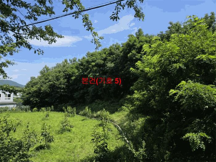 2025타경549 법원경매 사진7 | 경남 함양군 전 경매