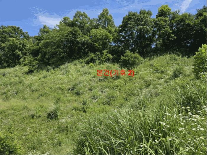 2025타경549 법원경매 사진9 | 경남 함양군 전 경매