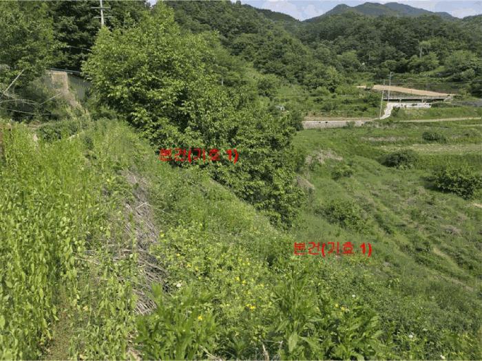 법원경매 2025타경10223 사진4 | 거창군 웅양면 전 경매