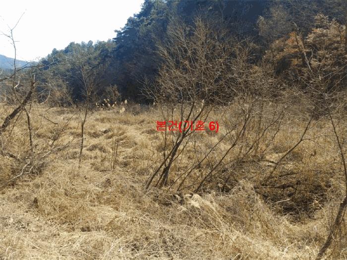 2025타경10148 법원경매 사진2 | 경남 합천군 답 경매
