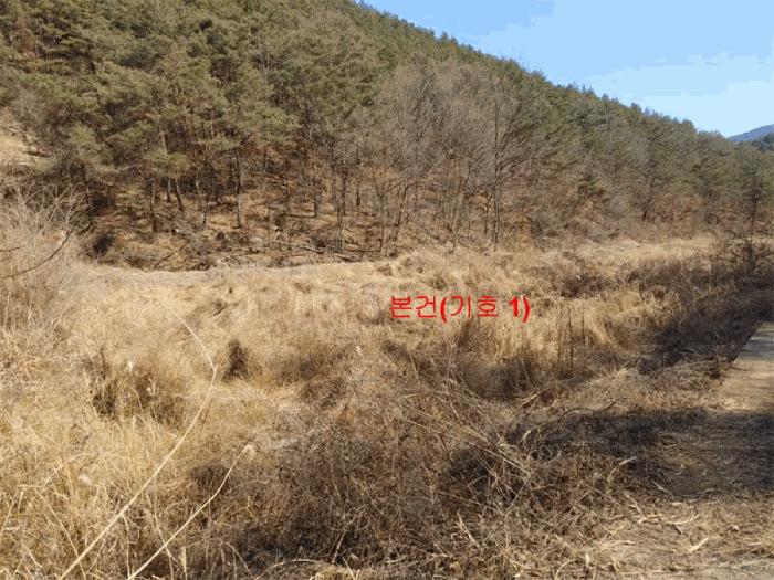 2025타경10148 법원경매 사진5 | 경남 합천군 전 경매