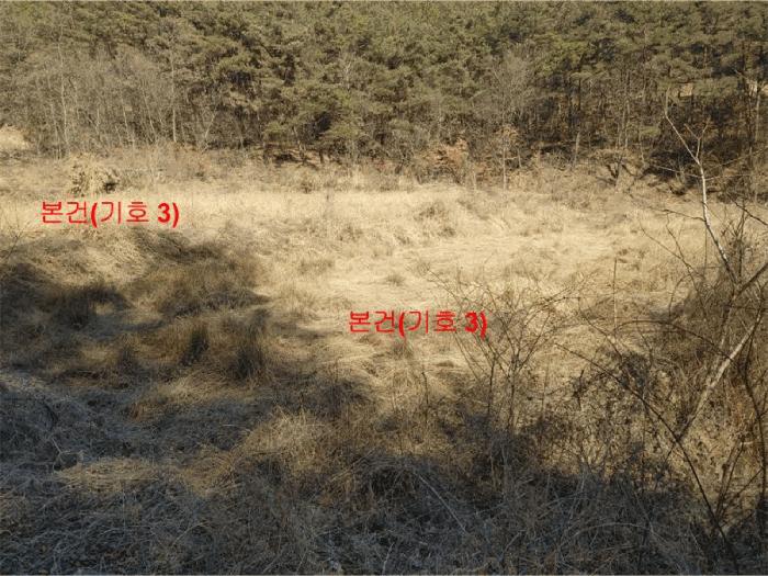 2025타경10148 법원경매 사진7 | 경남 합천군 답 경매