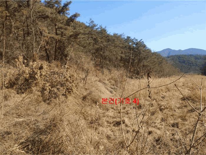 2025타경10148 법원경매 사진8 | 경남 합천군 답 경매