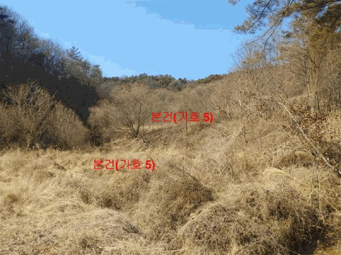 2025타경10148 법원경매 사진9 | 경남 합천군 답 경매