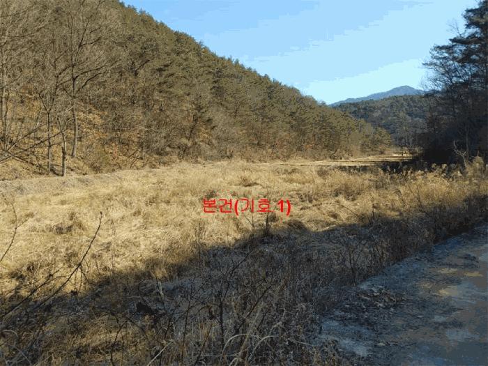 2025타경10148 법원경매 사진3 | 경남 합천군 답 경매