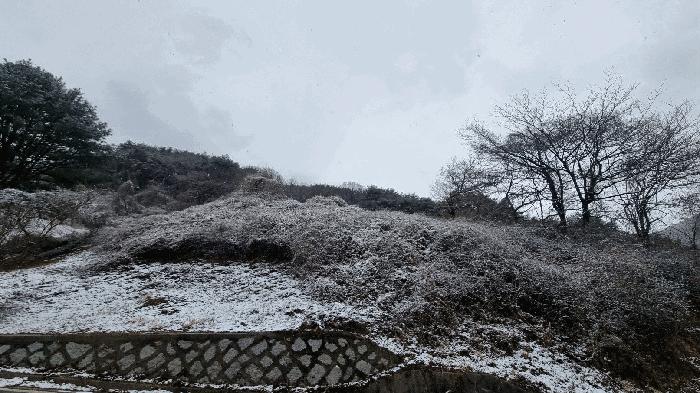 2025타경10162 법원경매 사진22 | 경남 합천군 임야 경매