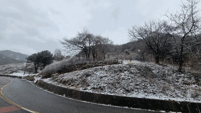 2025타경10162 법원경매 사진52 | 경남 합천군 임야 경매