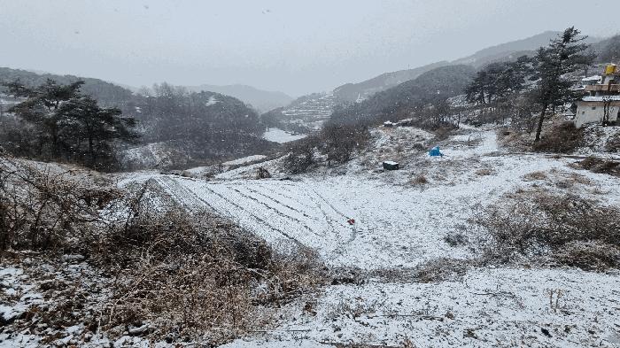 2025타경10162 법원경매 사진53 | 경남 합천군 임야 경매