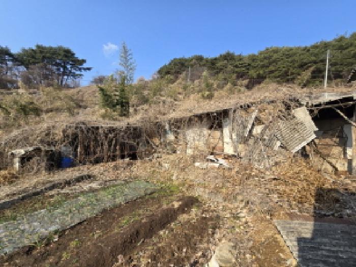 2025타경10162 법원경매 사진64 | 경남 합천군 임야 경매