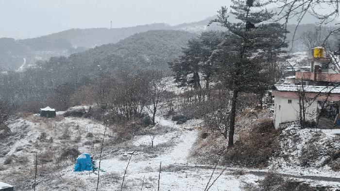 2025타경10162 법원경매 사진7 | 경남 합천군 임야 경매