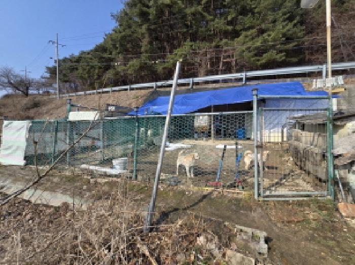 2025타경10162 법원경매 사진77 | 경남 합천군 임야 경매
