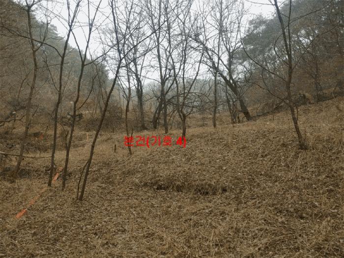 2025타경10170 법원경매 사진3 | 경남 합천군 답 경매