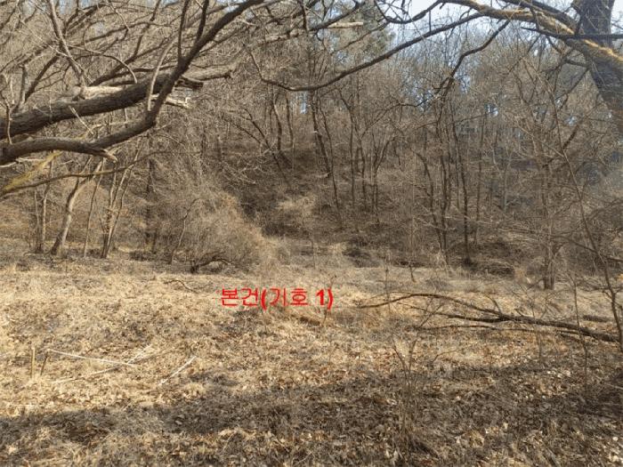 2025타경10170 법원경매 사진6 | 경남 합천군 답 경매