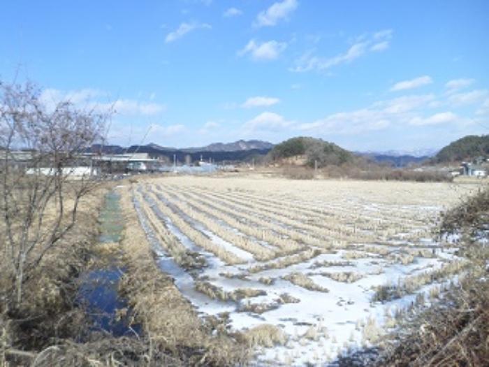 법원경매 2024타경406722 사진4 | 횡성군 공근면 오산리 353 답 경매