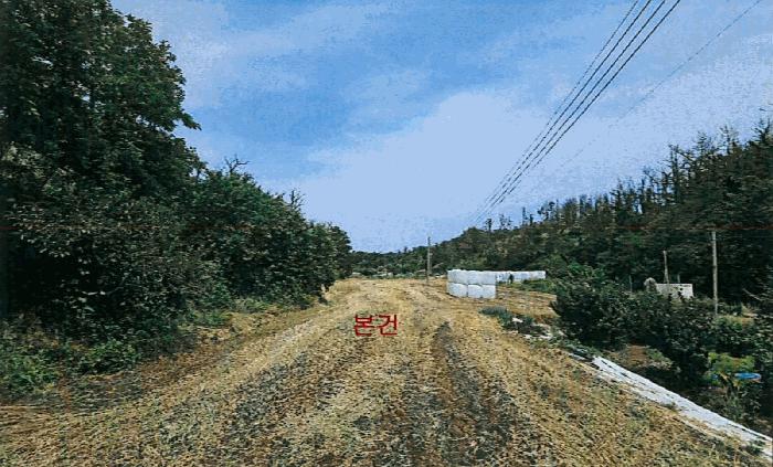 경상북도 포항시 남구 호미곶면 구만리 280-1 법원경매 물건 대표사진