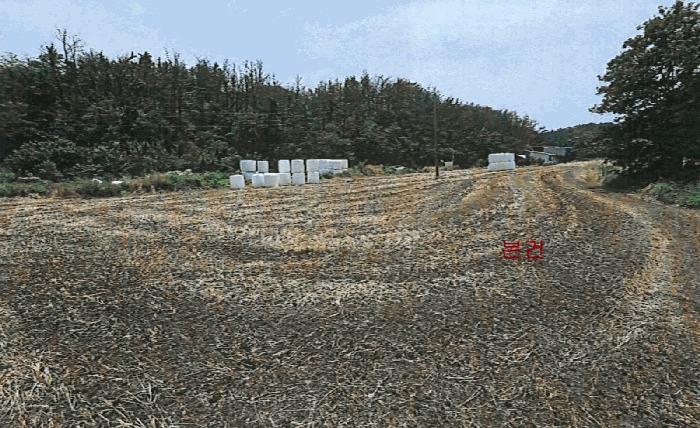 법원경매 2025타경3811 사진2 | 포항시 남구 호미곶면 구만리 280-1 전 경매