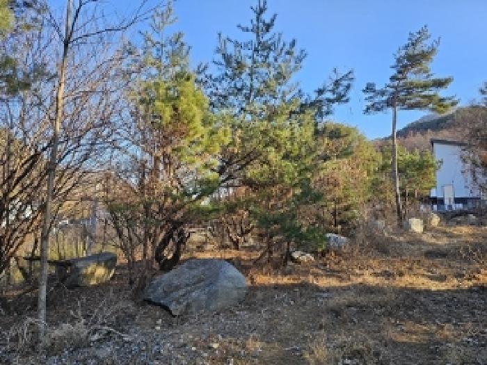 2024타경6839 법원경매 사진4 | 경남 산청군 답 경매