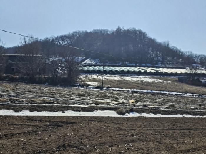 2025타경354 법원경매 사진9 | 충북 충주시 전 경매