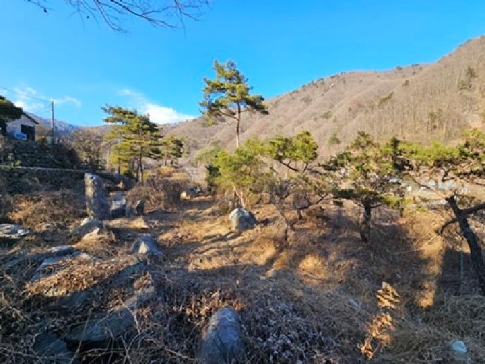2024타경6839 법원경매 사진7 | 경남 산청군 전답 경매