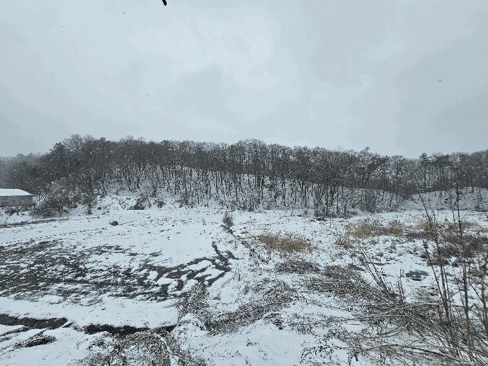 법원경매 2025타경484 사진6 | 음성군 음성읍 초천리 742 답 경매