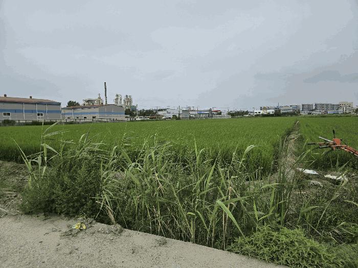 2025타경505 법원경매 사진2 | 전북 군산시 답 경매