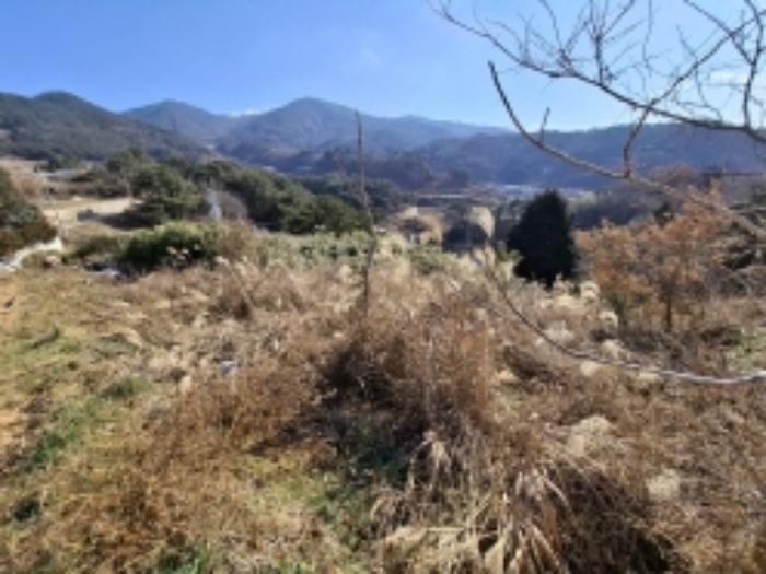 2025타경128 법원경매 사진2 | 경남 남해군 전 경매