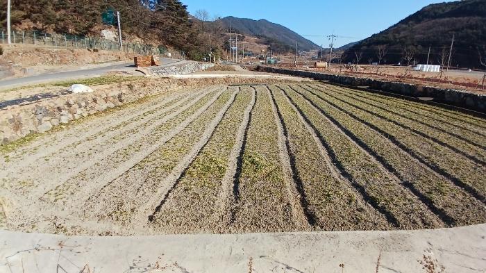 2025타경30242 법원경매 사진2 | 경남 남해군 답 경매