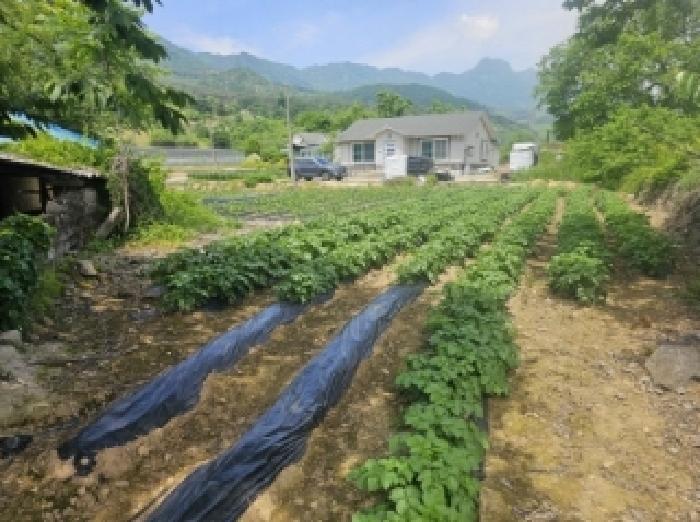 법원경매 2025타경5322 사진18 | 단양군 적성면 하리 398 전 경매